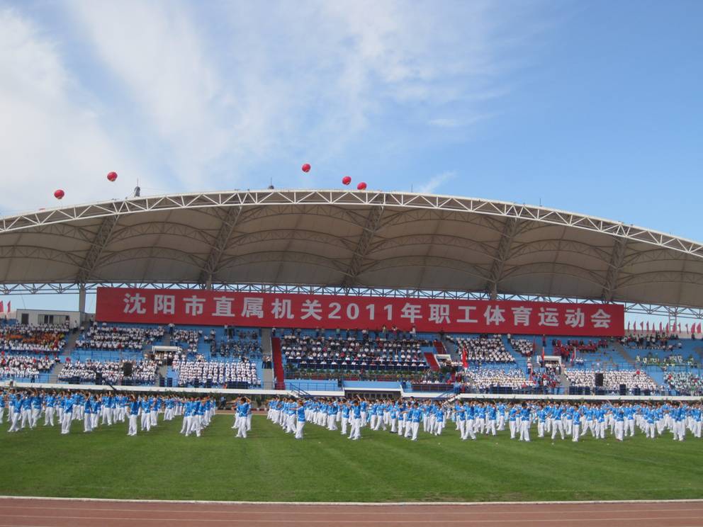 绿茵体育指定通道