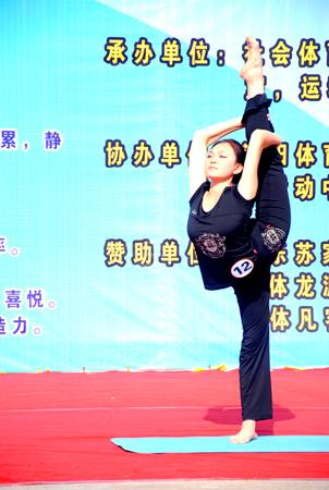 绿茵体育手机版